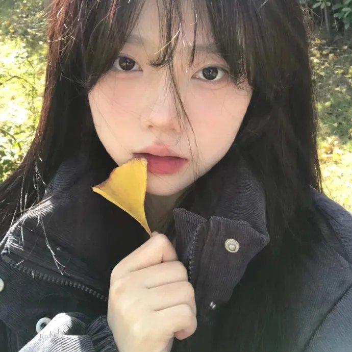 老鼠危机