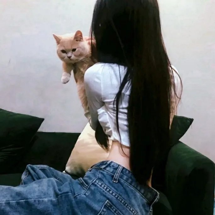 乱发日记